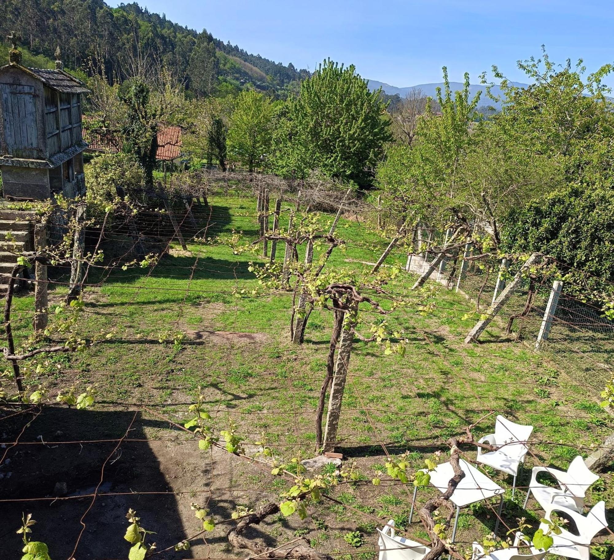 Pension Rural Para Peregrinos "Areal" Padrón Exteriör bild